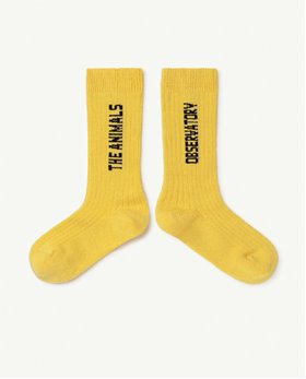 [TAO] F21158_099_XX /Yellow Worm Kids Socks [27-30, 31-34, 35-38]